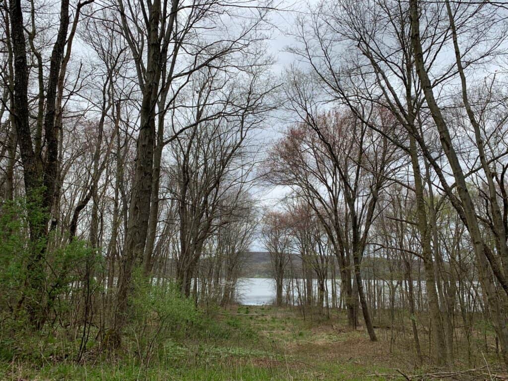 coves at yellow creek state park