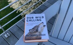 our wild calling by richard louv