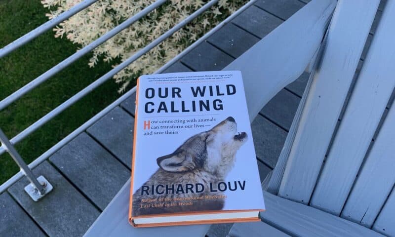 our wild calling by richard louv