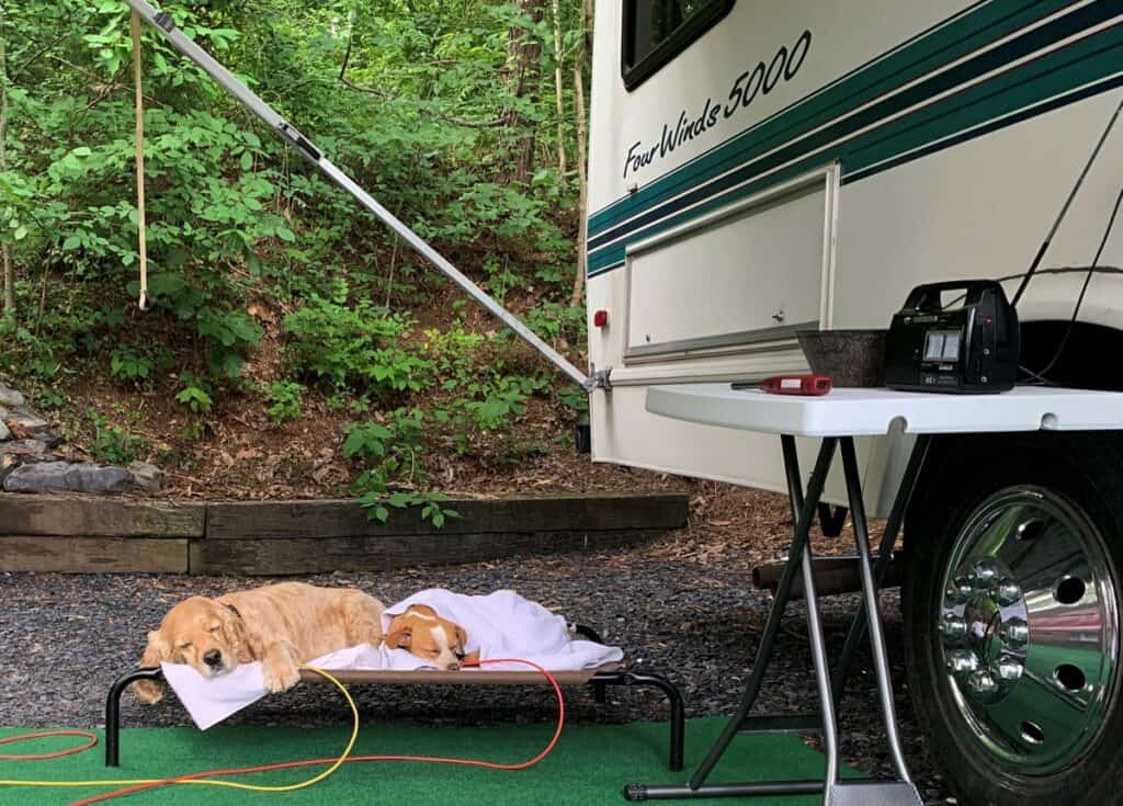 afternoon nap at campground