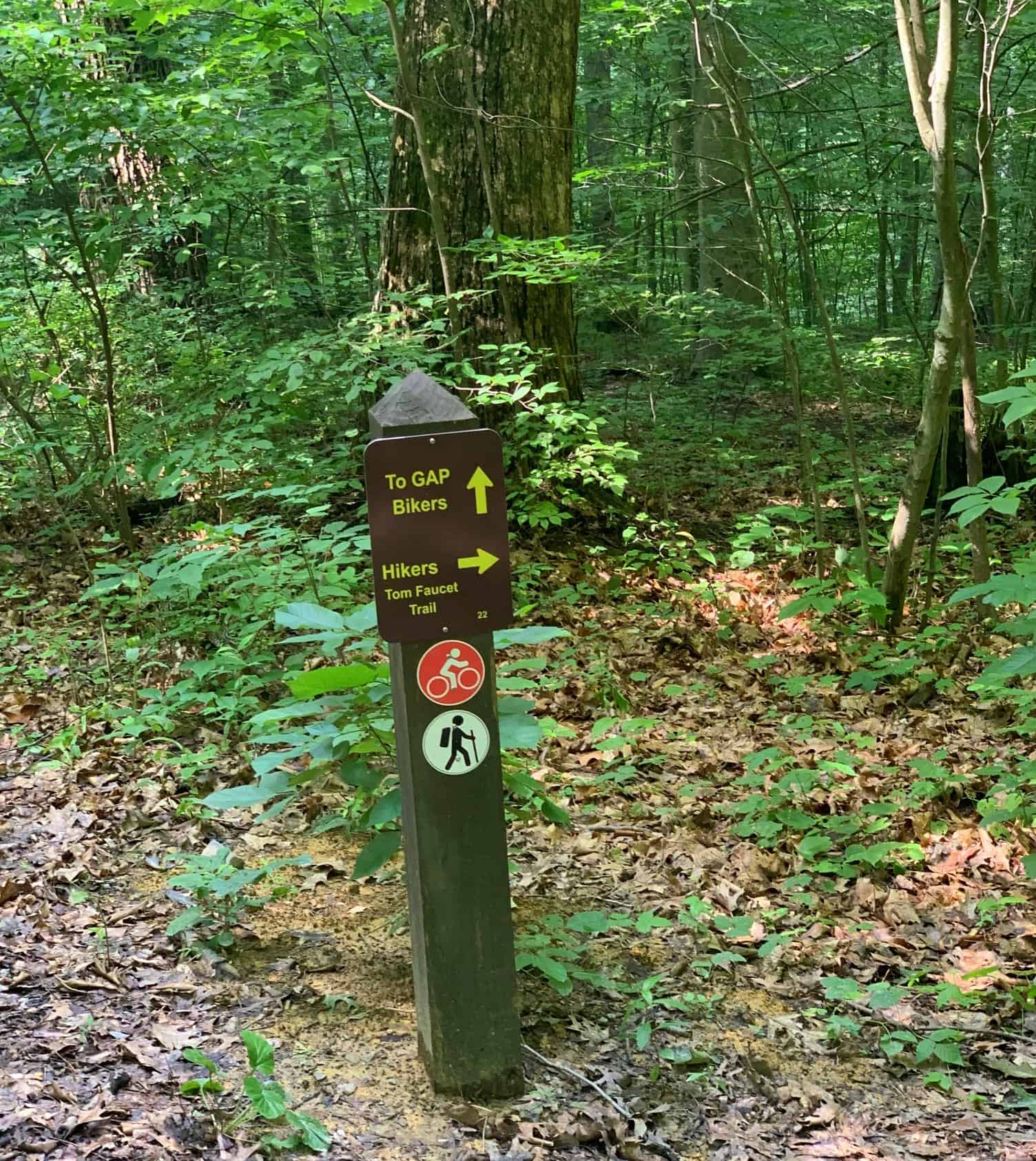 Trip Report: Ohiopyle State Park in Pennsylvania - Road Trip Tails