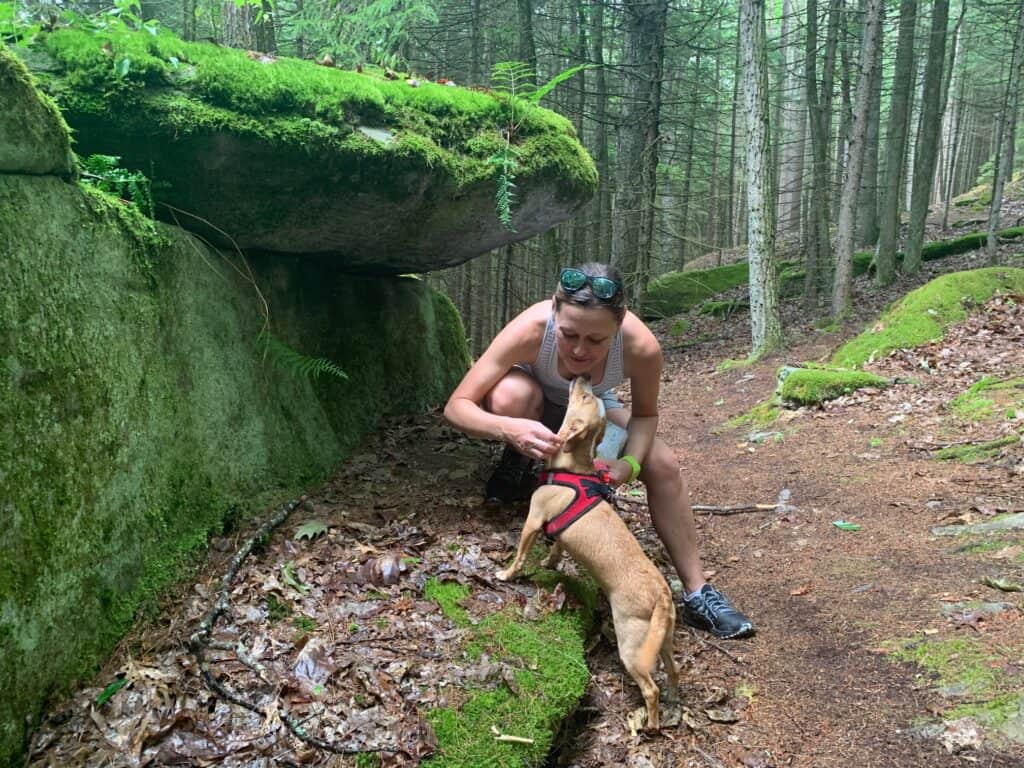 clear creek trail rock outcrop with hazel