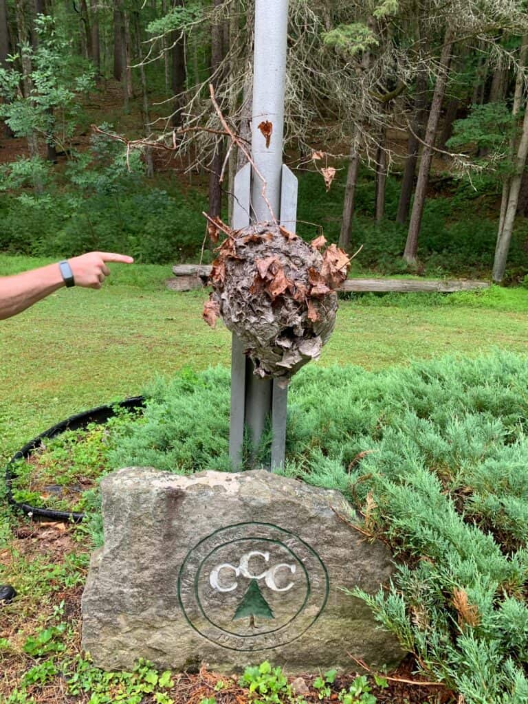 ccc stone with nest at clear creek