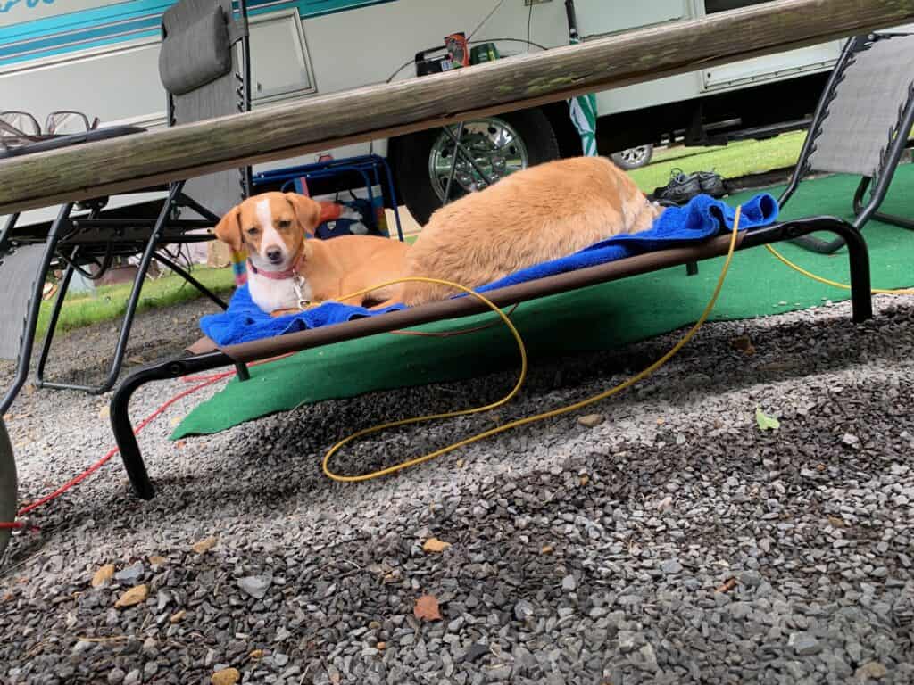 franklin and hazel at clear creek state park