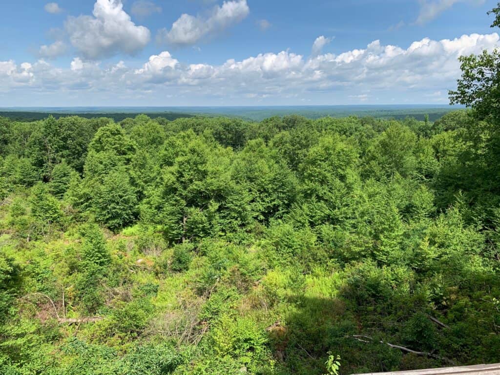 beartown rocks scenic overlook