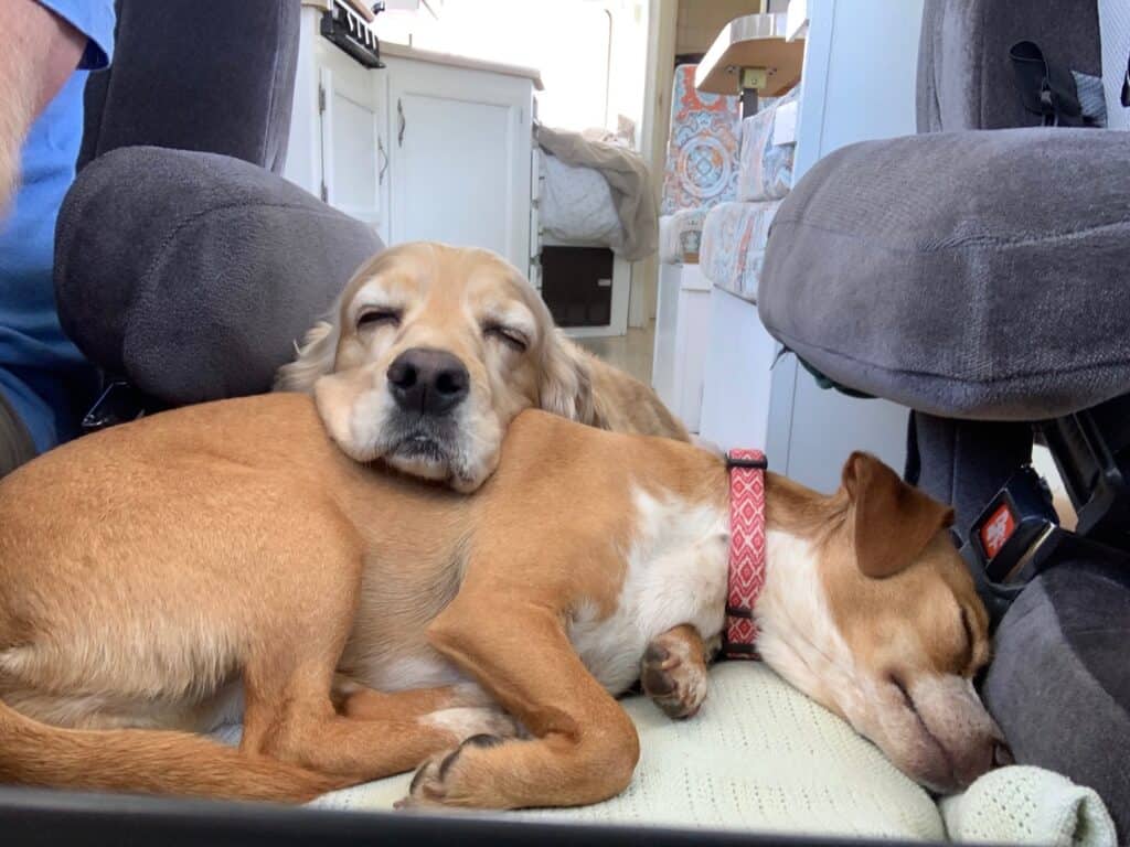 franklin and hazel rv sleeping