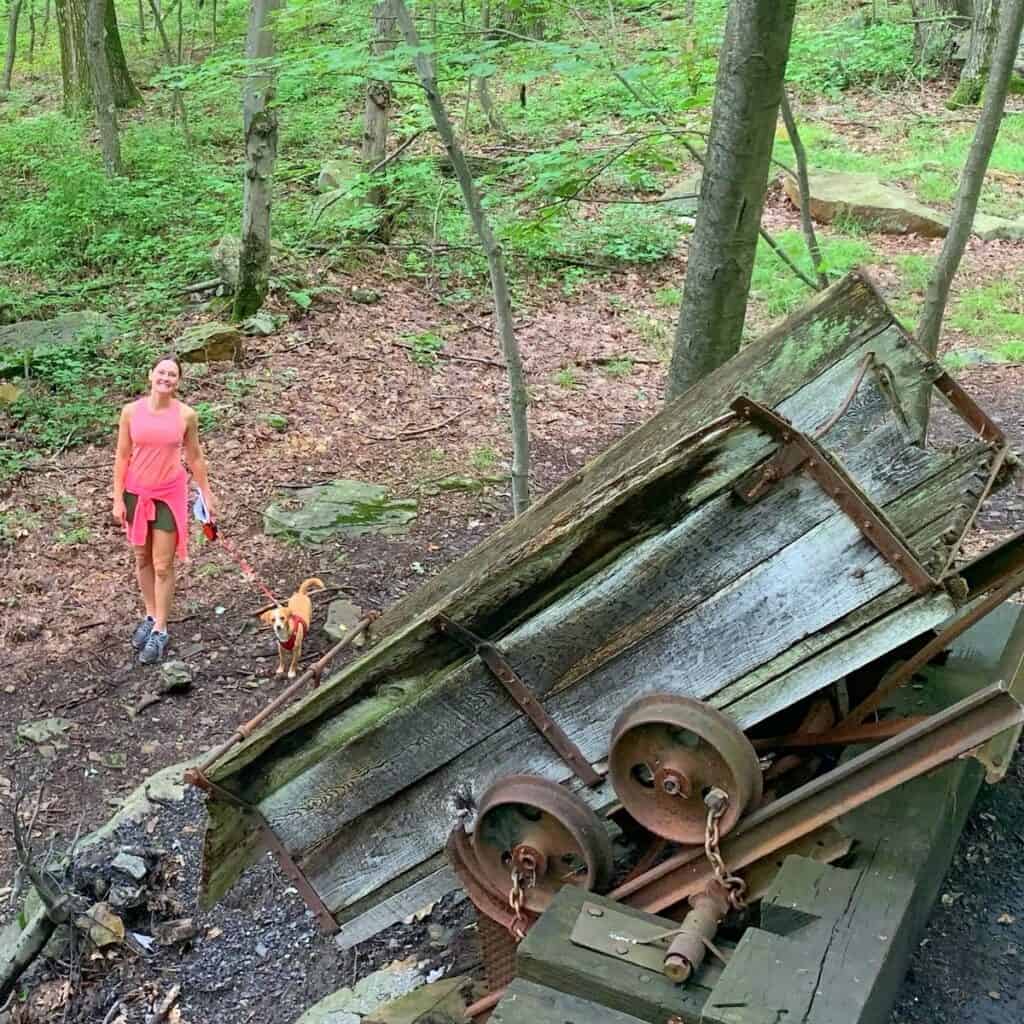 deep creek lake state park brant mine cart from above