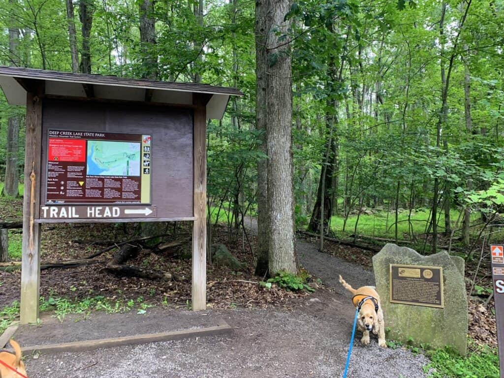 deep creek lake state park trailhead