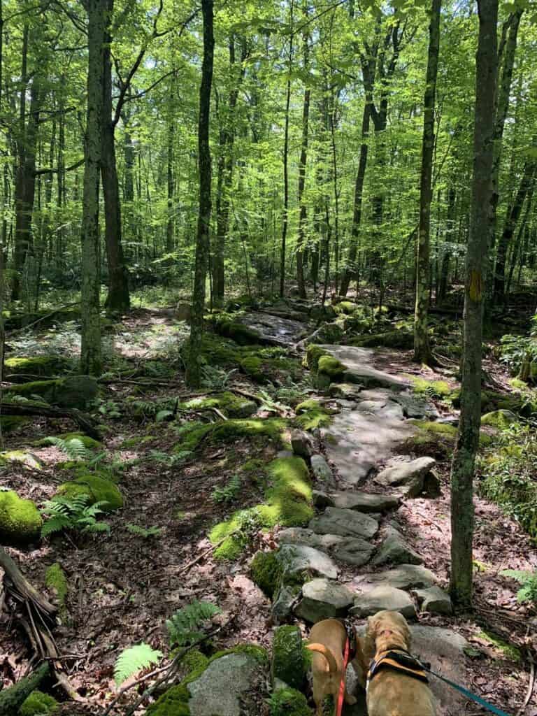 rocky trails at deep creek lake state park