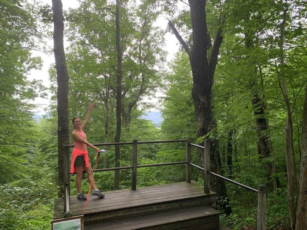 deep creek lake state park lookout