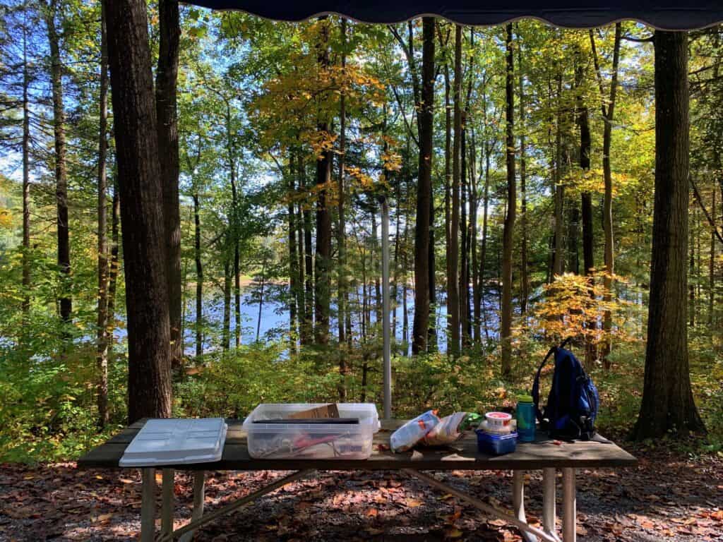 cowans gap campground site 186 views 1