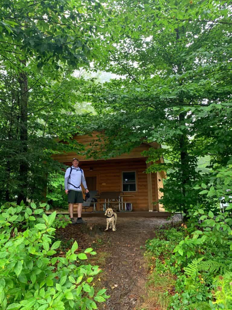 are dogs allowed in ricketts glen state park