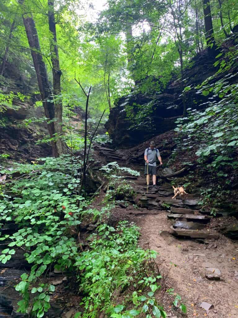 ricketts glen state park trail dog