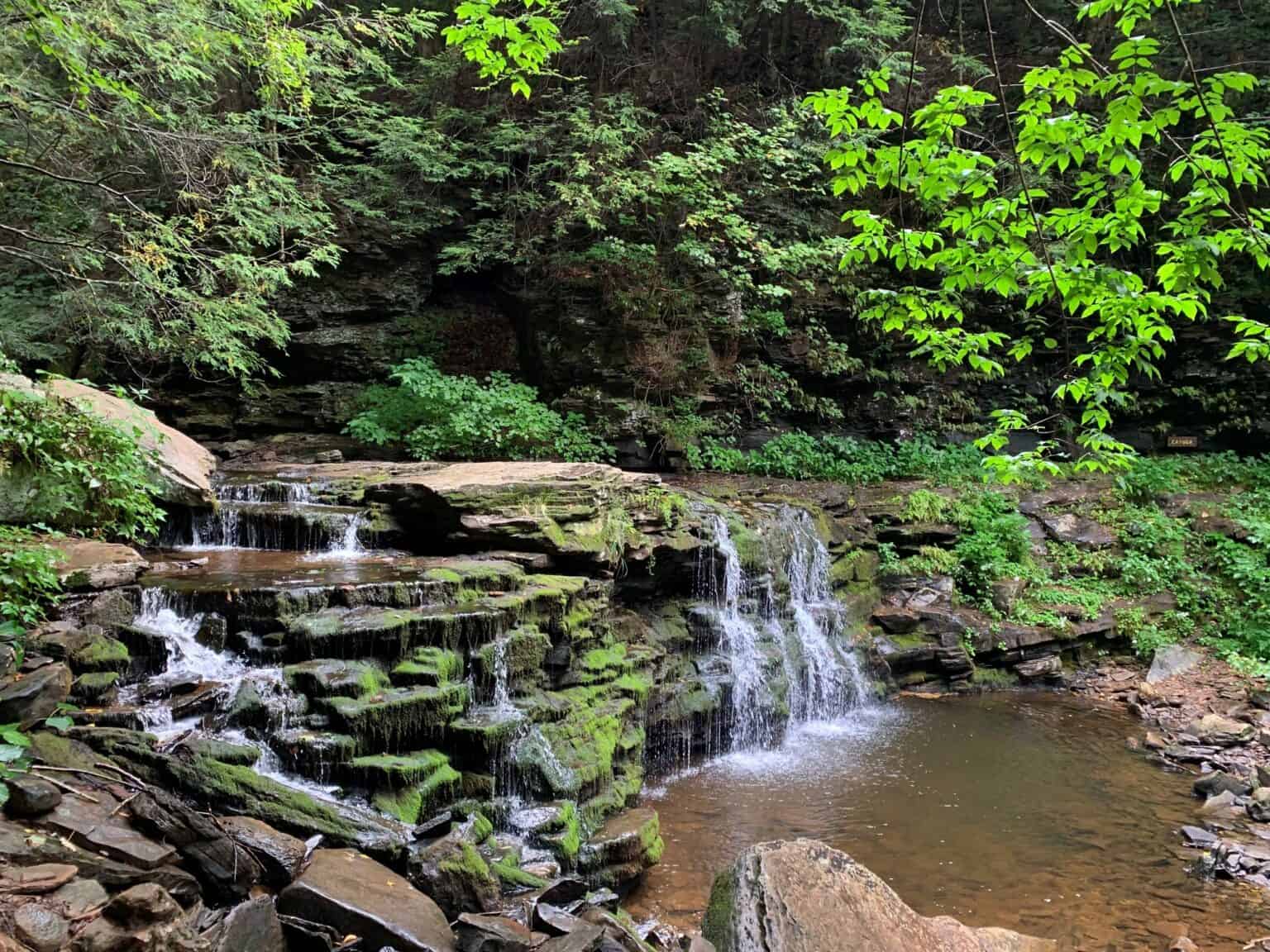 Trip Report: Ricketts Glen State Park in Pennsylvania - Road Trip Tails