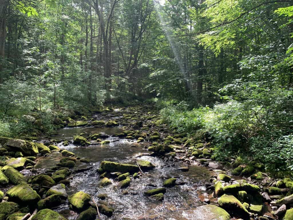 ravensburg state park creek