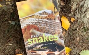 secrets of snakes