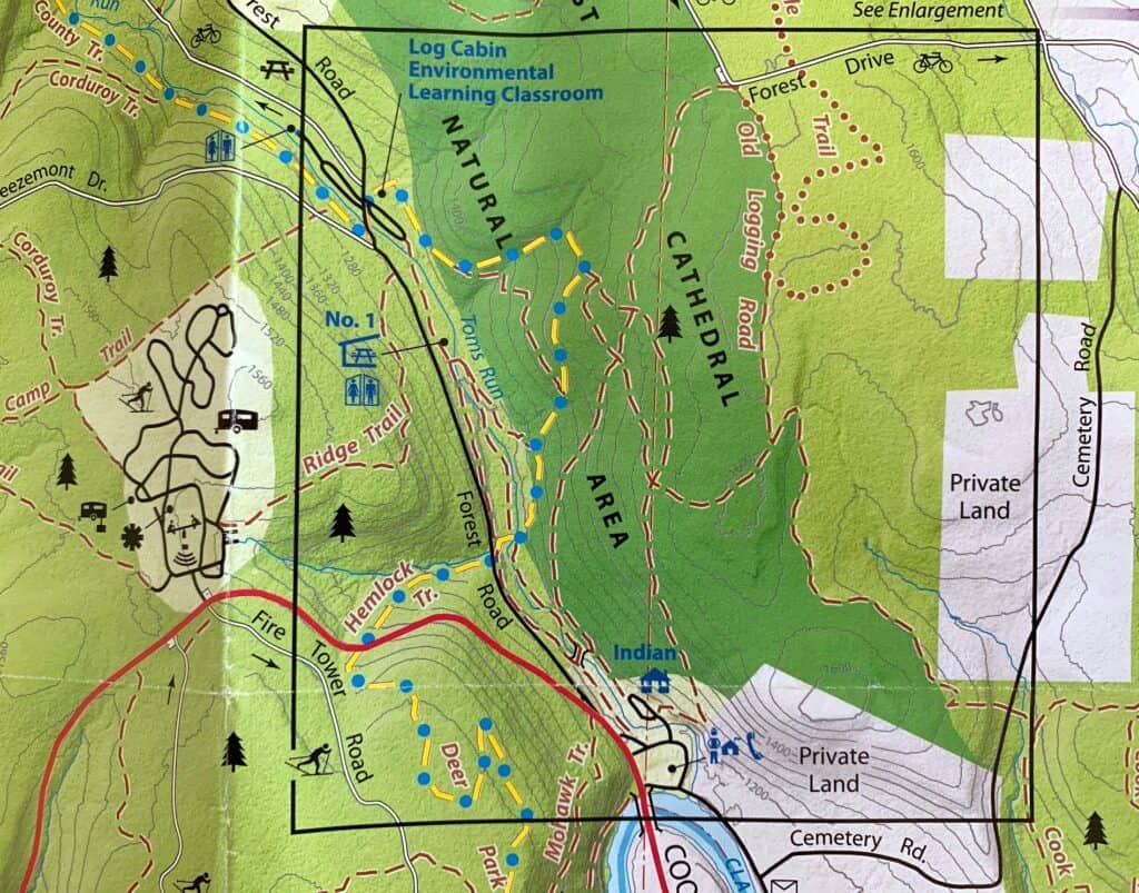cook forest state park trail map