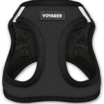 voyager step in air dog harness