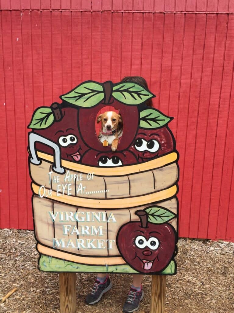 Hazel at Virginia Farm Market