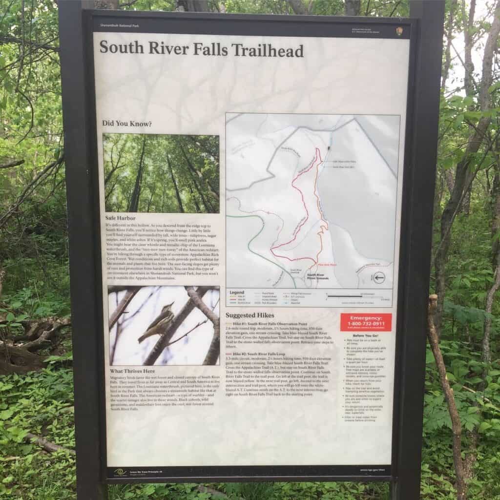 south river falls shenandoah national park