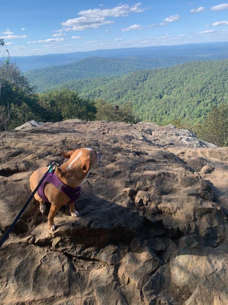 compton gap overlook 1