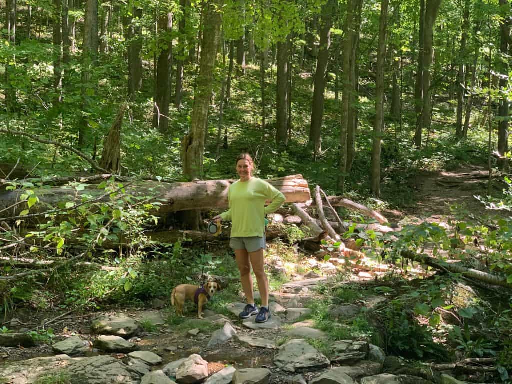 hazel on rocky compton peak