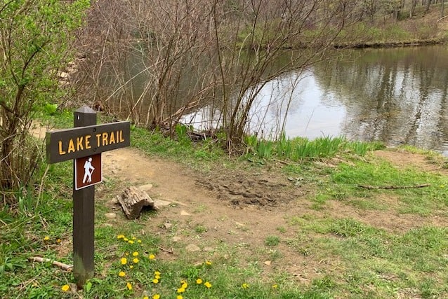 lake trail at laurel hill state park