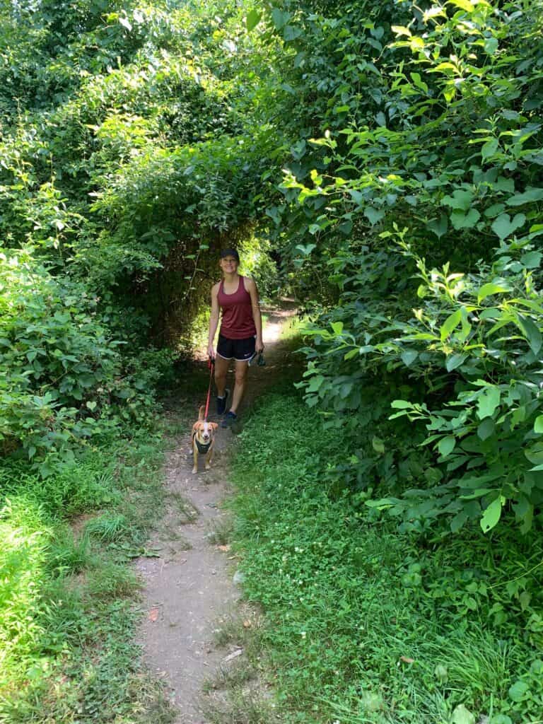 laho trail green tunnel