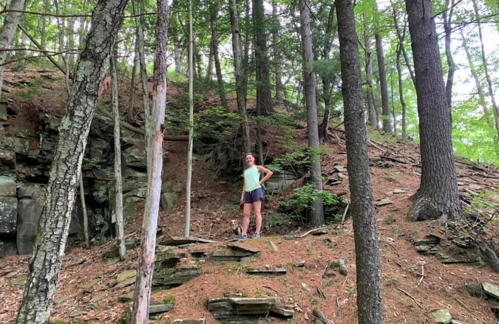 rock formations in little pine state park