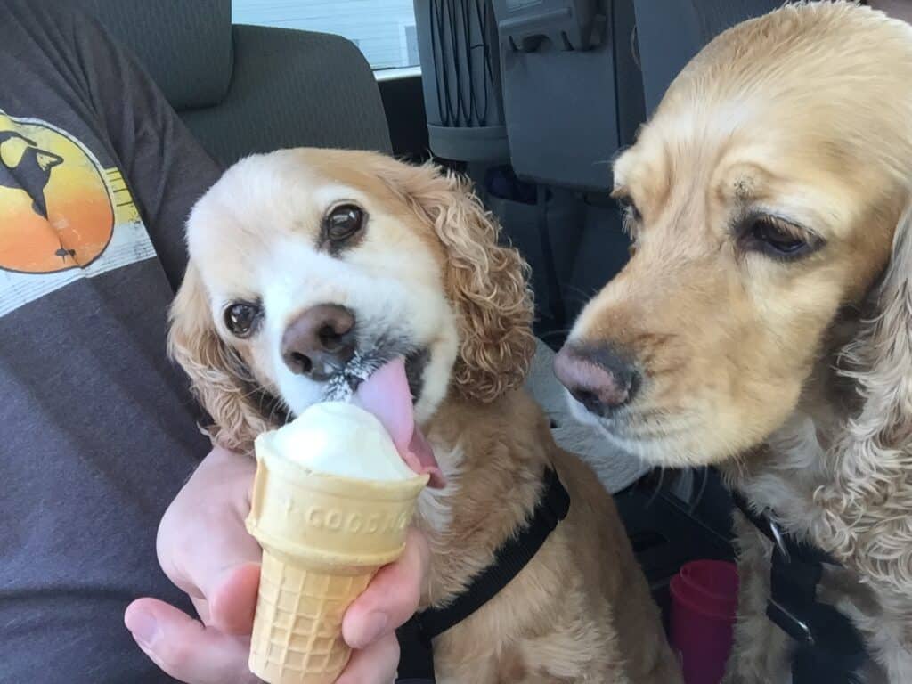 benjamin and franklin eating ice cream