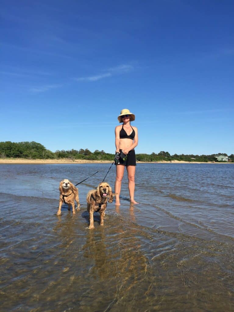 jockey's ridge soundside beach with dogs