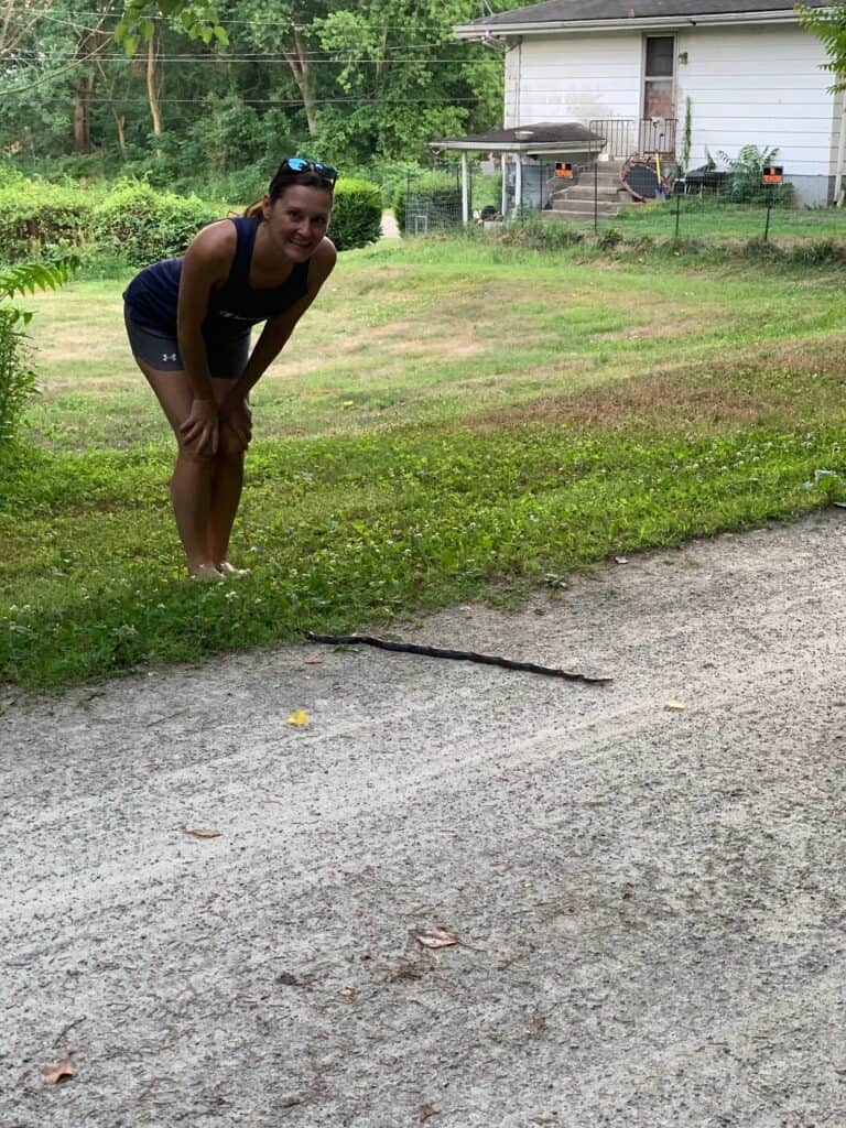 black snake on gap trail