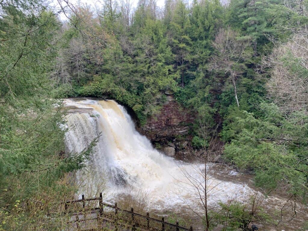 swallow falls state park muddy creek falls 2