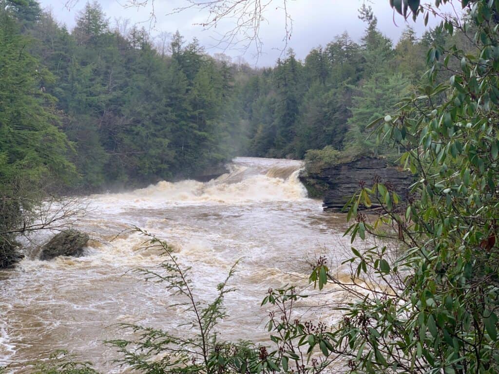 swallow falls state park waterfalls 2