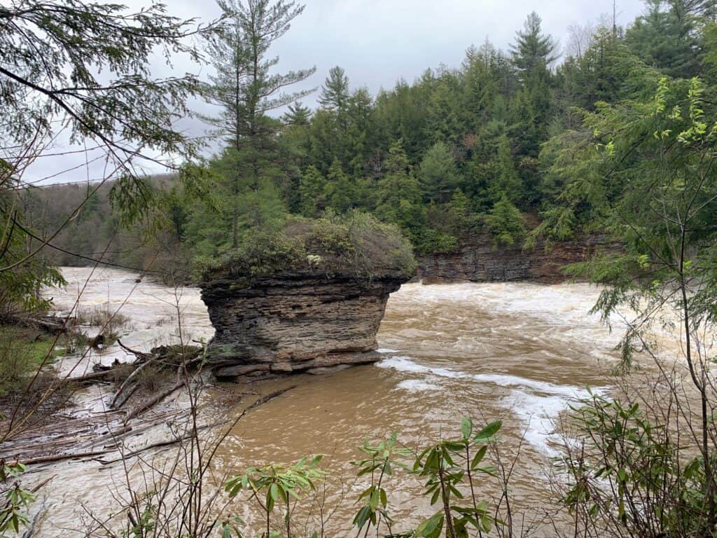 swallow falls state park rock formations 2