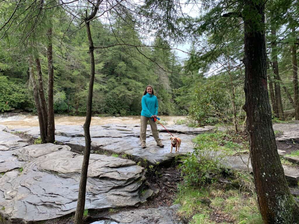 swallow falls state park canyon trail hazel