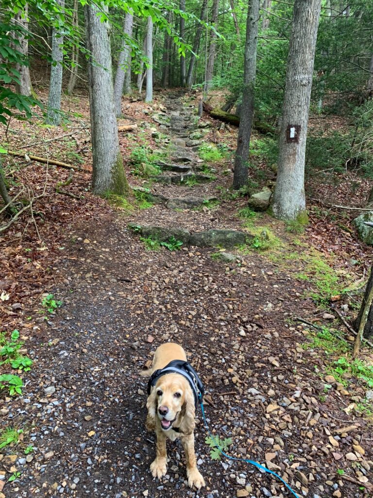 franklin on the appalachian trail