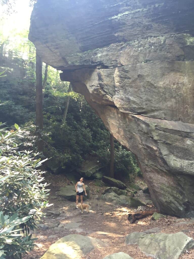 coopers rock rocky trails 2