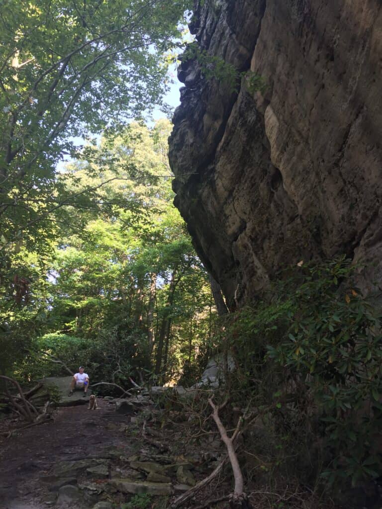 coopers rock rocky trails 1