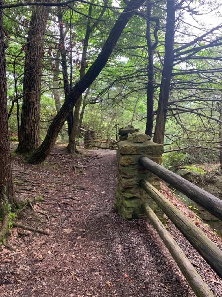 coopers rock overlook trail walkway