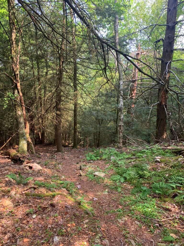 raymond b winter state park steep hiking trail