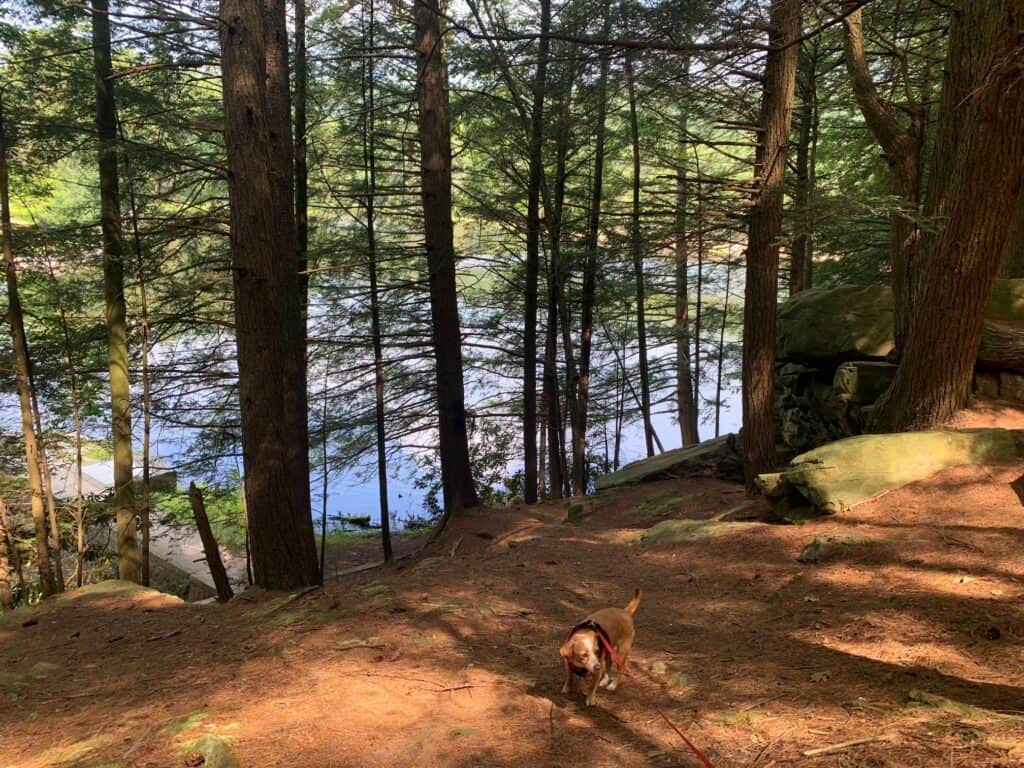 halfway lake at raymond b winter state park