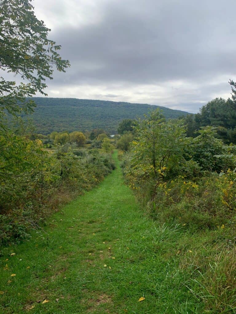 bald eagle state park butterfly trail