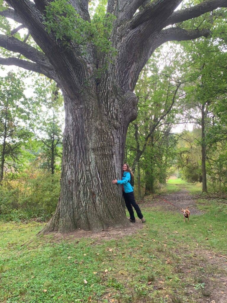 bald eagle state park tree hugging