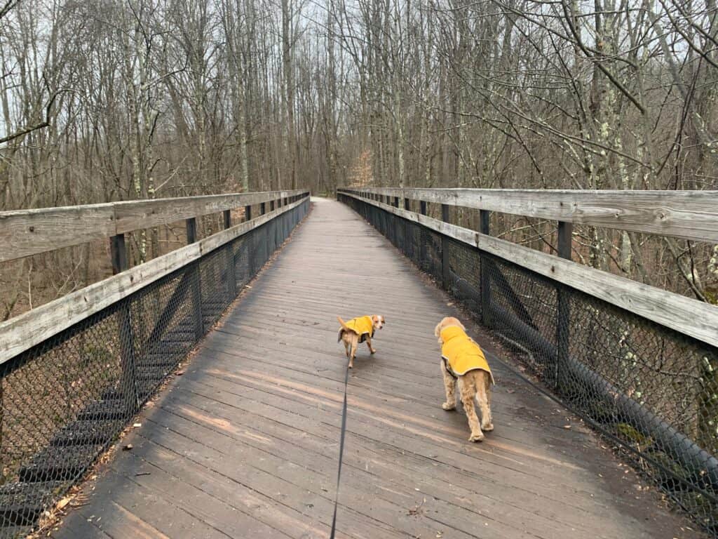 lands end rain jackets in ohiopyle state park