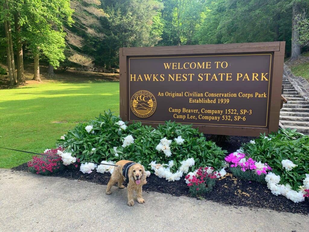 hawks nest state park west virginia