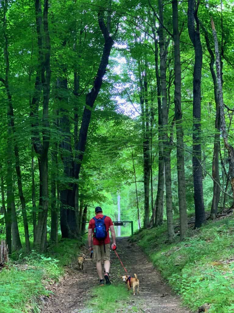 tomlinson run state park hiking trail