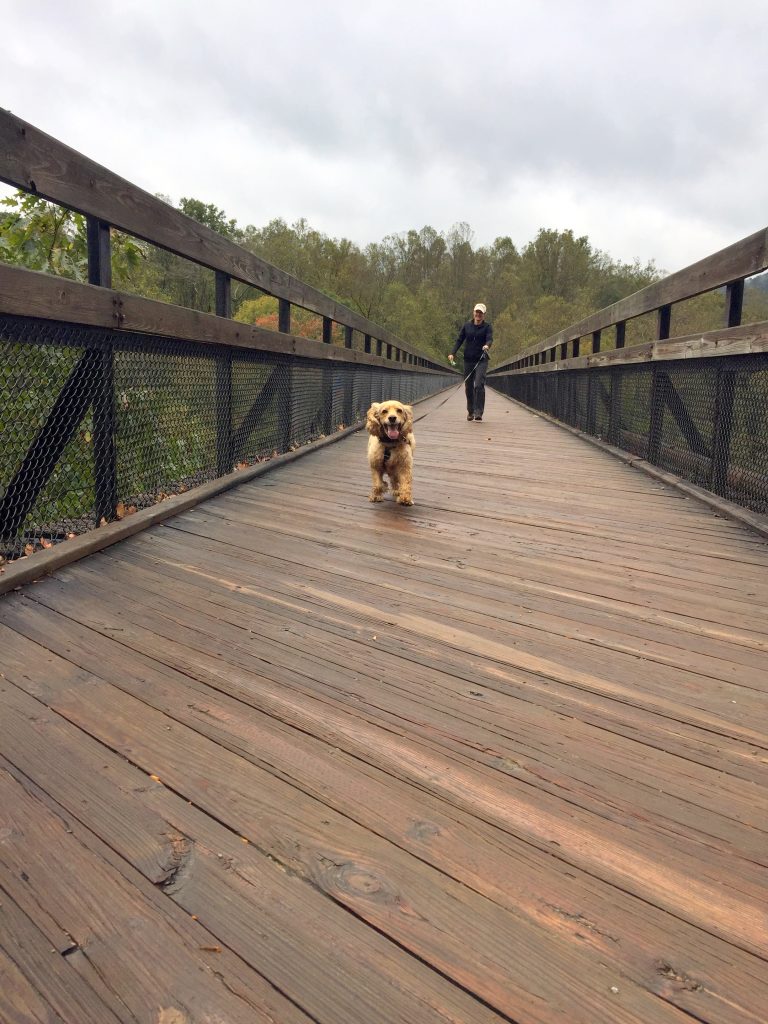 ohiopyle franklin running on gap trail