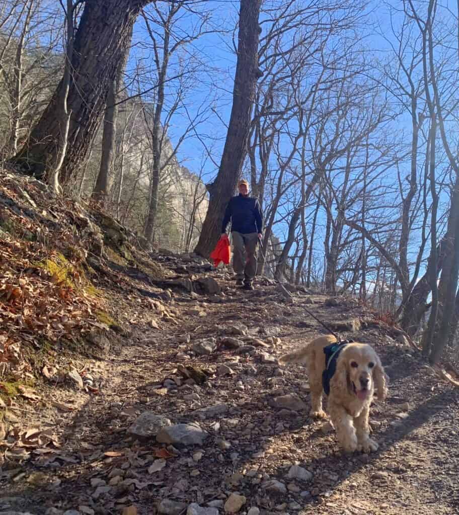 franklin hiking down seneca rocks