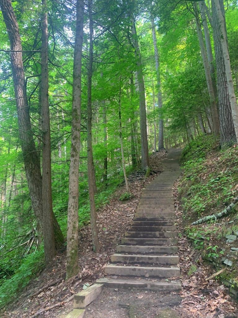 steps in robert h treman state park